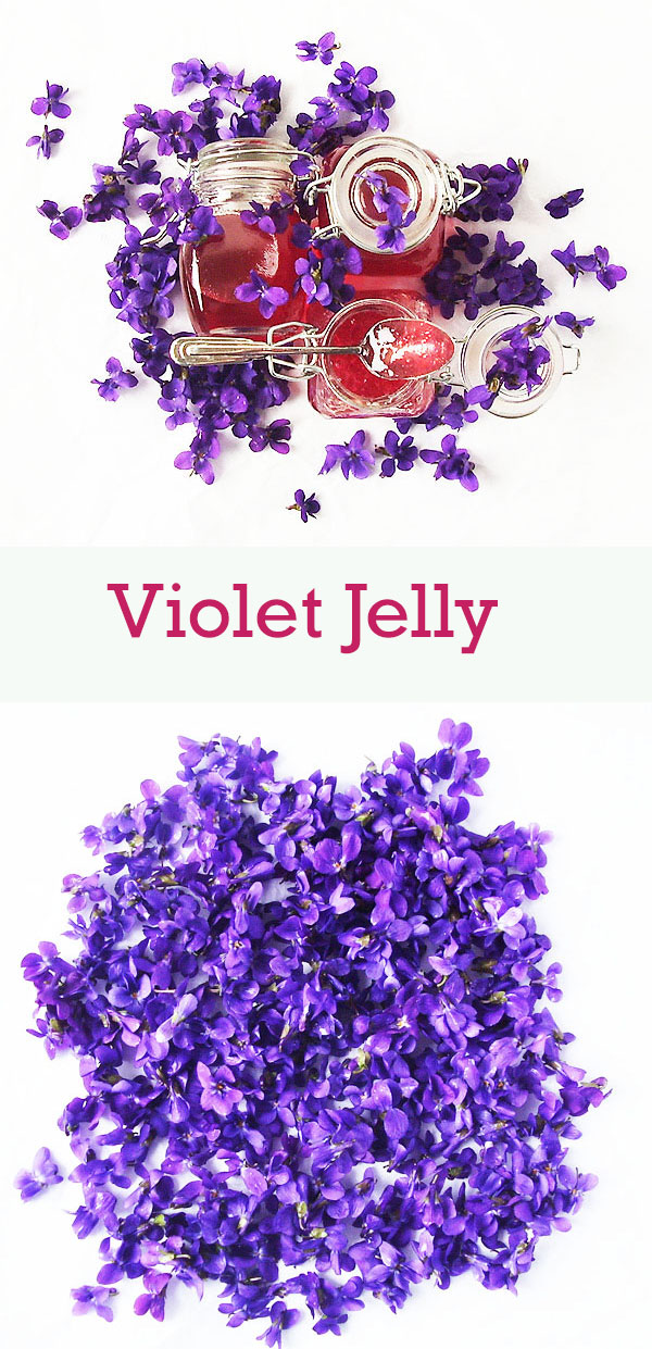 Violet Jelly is spring beauty captured in a jar. Delicate and profound edible flower jelly made with violets. Gives very special taste to everything you do with it.