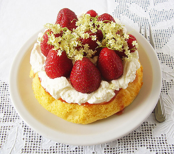 6-inch Sponge Cake with Strawberries is easy sponge recipe with whipped cream and fresh strawberries. Small batch. Nice. Tasteful.