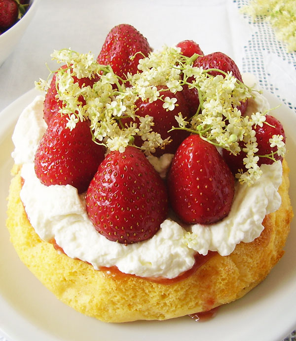 6-inch Sponge Cake with Strawberries. Nice. Tasteful. Easy.