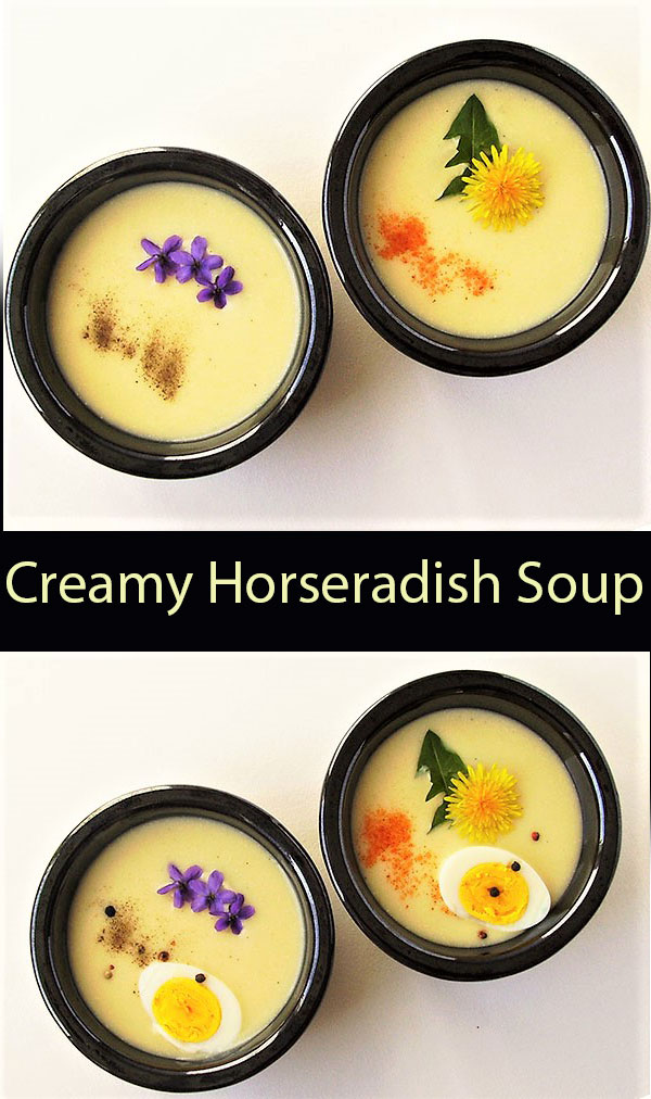 Creamy Horseradish Soup: horseradish root cream, potato, heavy cream and vegetable stock are main ingredients to prepare this healthy and comforting German soup in 15 minutes only. You will love it’s heat and spicy flavor !