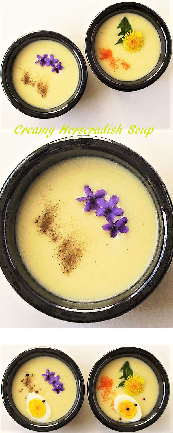 Creamy Horseradish Soup: horseradish root cream, potato, heavy cream and vegetable stock are main ingredients to prepare this healthy and comforting German soup in 15 minutes only. You will love it’s heat and spicy flavor !
