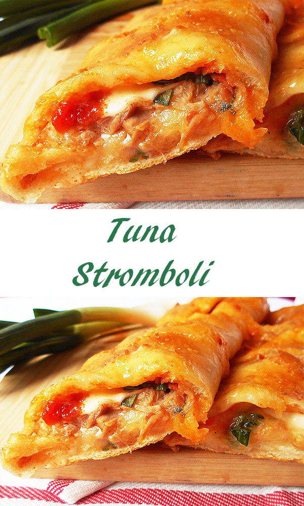 Tuna Stromboli: Simple pizza crust turnover filled with tomato salsa, tuna and mozzarella. Buon appetito !