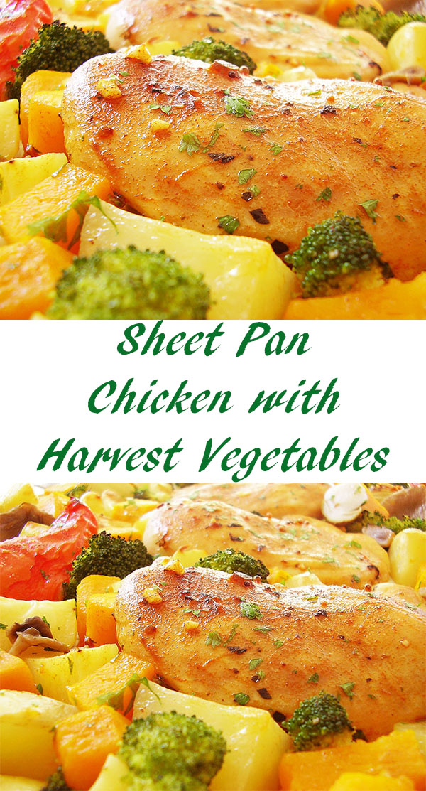 Sheet Pan Chicken with Harvest Vegetables is easy and healthy dinner, loaded with harvest vegetables, and chicken, brushed with olive oil and herbs to taste.