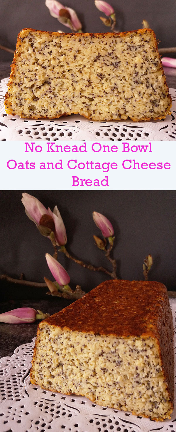 No Knead One Bowl Oats and Cottage Cheese Bread : healthy and moist no knead bread.