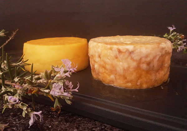 Oil Cured Cheese : Fancy retro and simply cured cheese for your charcuterie board.