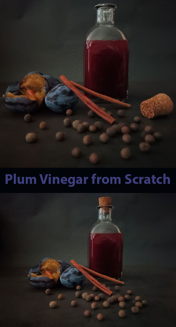 Plum Vinegar from Scratch is Italian Crema di Aceto di Prugna, homemade fruit vinegar, creamy thick fresh fruit condiment and salad dressing, perfect recipe to satisfy even the most demanding Epicureans!