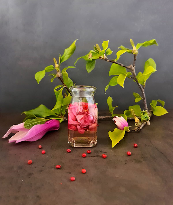 Pickled Magnolia Petals are foraged spring delicacy with a texture similar to endive and a flavor profile often described as a mix of ginger, cardamom, and clove, with a sweet-tangy bite. Pickled Magnolia Petals are foraged spring delicacy with a texture similar to endive and a flavor profile often described as a mix of ginger, cardamom, and clove, with a sweet-tangy bite.